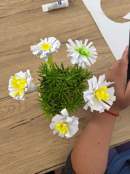 Nobilis Village Senior Home - Camin de batrani Corbeanca